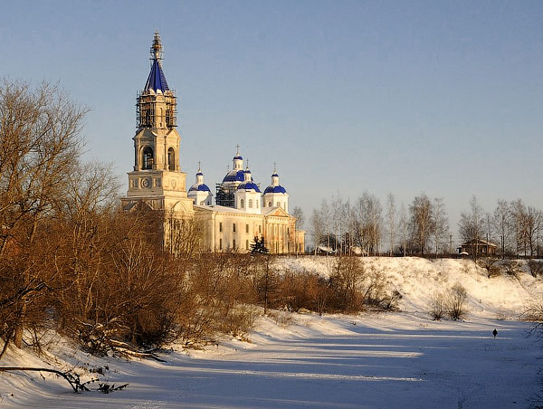 kashin_voznes